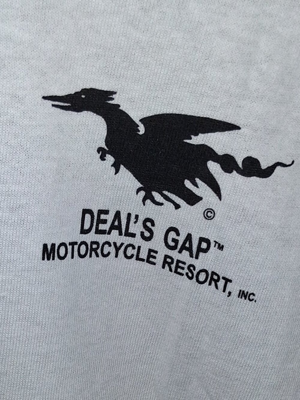 Vintage 90s Deals Gap Tail of the Dragon T-Shirt L Made in USA 318 Curves US 129 - Picture 4 of 7